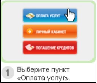 ne-prishli-dengi-na-yandeks-dengi-cherez-terminal-im-37