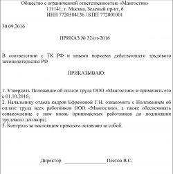 prikaz-o-vnesenii-izmeneniy-v-polozhenie-ob-oplate-truda-obrazets-im-7