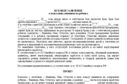 kuda-podavat-zayavlenie-na-alimenti-im-15