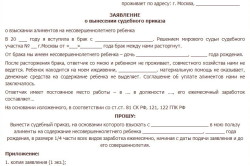 zayavlenie-o-vidache-sudebnogo-prikaza-o-vziskanii-dolga-po-raspiske-im-10