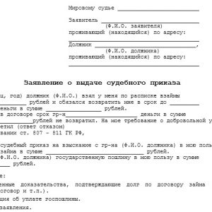 zayavlenie-o-vidache-sudebnogo-prikaza-o-vziskanii-dolga-po-raspiske-im-14