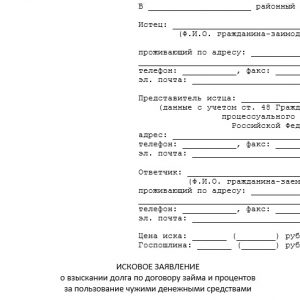 zayavlenie-o-vidache-sudebnogo-prikaza-o-vziskanii-dolga-po-raspiske-im-21