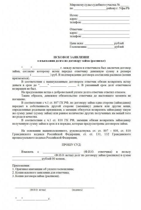 zayavlenie-o-vidache-sudebnogo-prikaza-o-vziskanii-dolga-po-raspiske-im-5