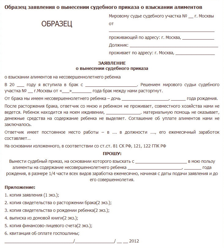 zayavlenie-o-vidache-sudebnogo-prikaza-o-vziskanii-dolga-po-raspiske-im-7
