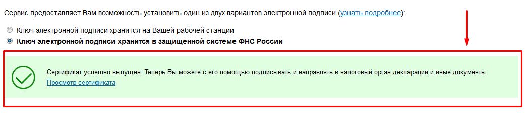 kak-oformit-nalogoviy-vichet-cherez-lichniy-kabinet-nalogoplatelshika-im-11